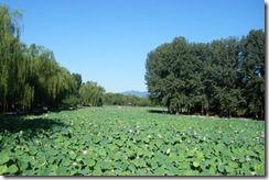 1DSCF4260_调整大小 1DSCF4260_调整大小